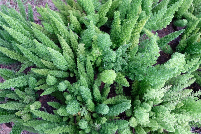 DSCF3746.JPG