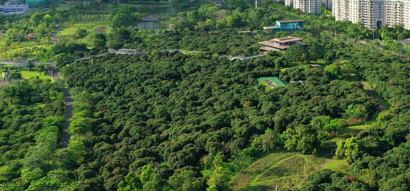 香蜜公园是以公共开放和生态保护为原则，汇集城市休闲娱乐功能，将文化、休闲、体验融为一体的综合性市政公园。DJI_0179.JPG