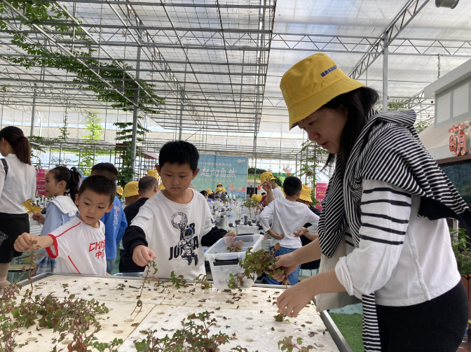 已编辑图片