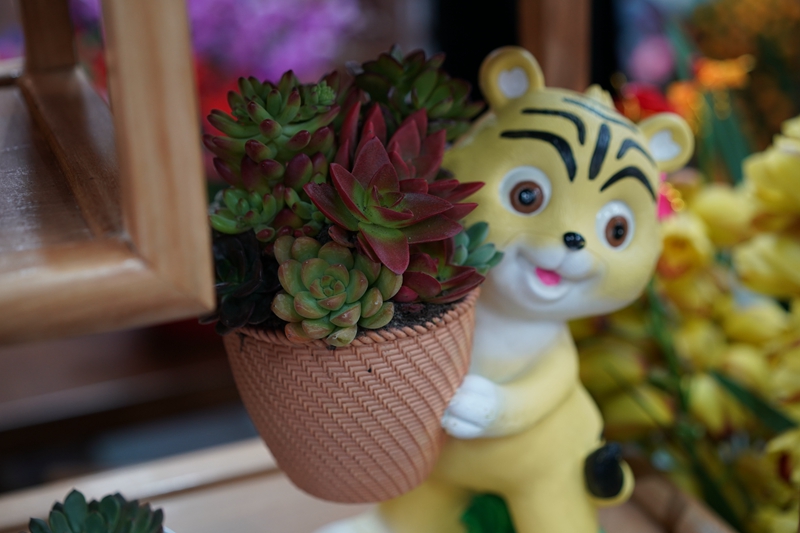 DSC03058.JPG