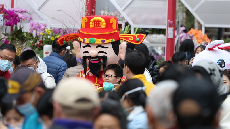 1月16日，深圳迎春花市（福田）.jpg