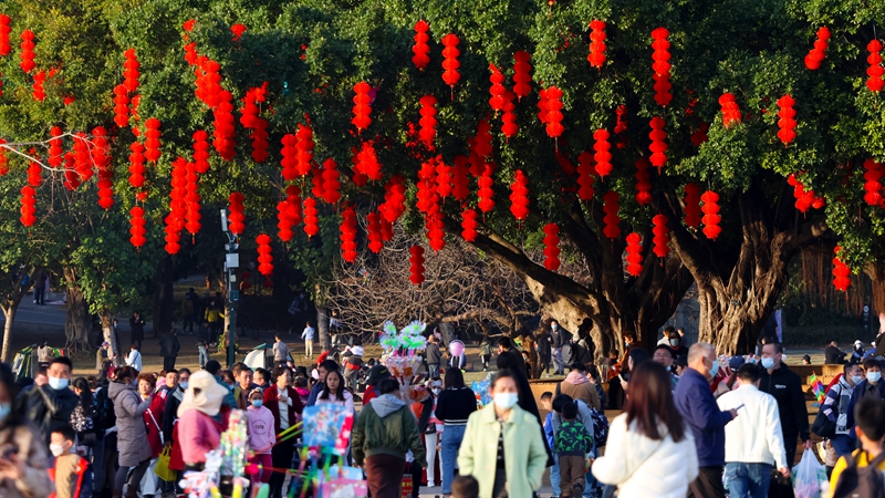 1月28日，莲花山公园1.jpg