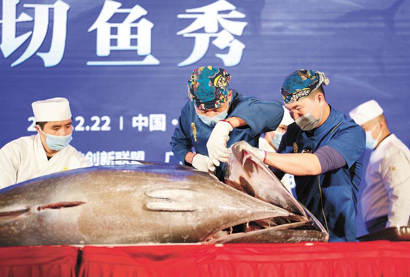 tuna_副本.jpg