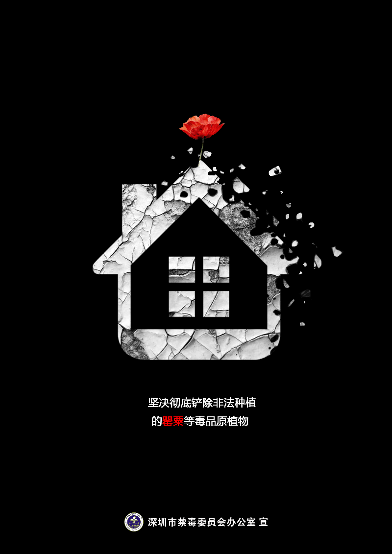 海报 (1).png