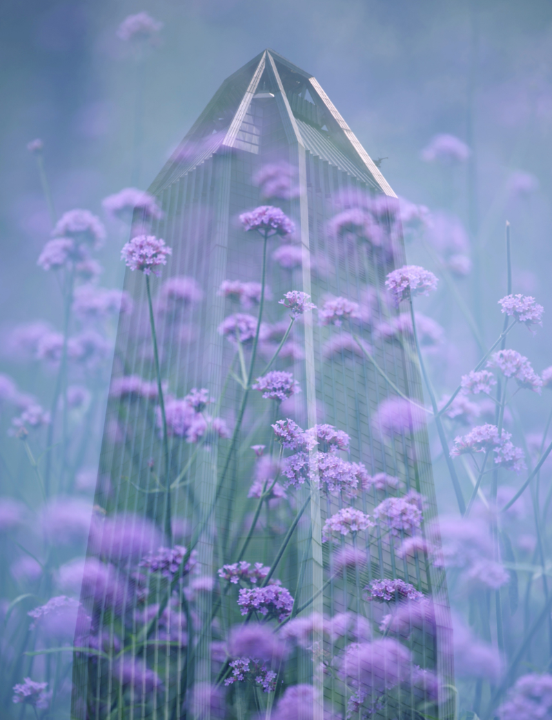 陈玉明-深深的爱.jpg 图片