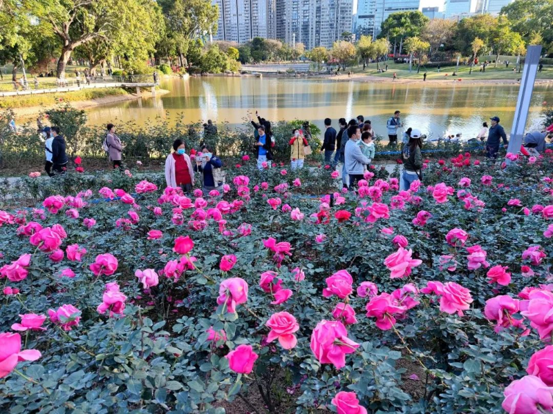 IMG_9071_副本.jpg 图片