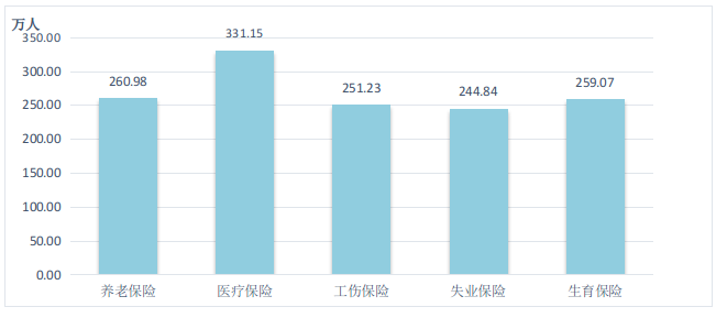 图10  2022年全区参加各类保险人数.png
