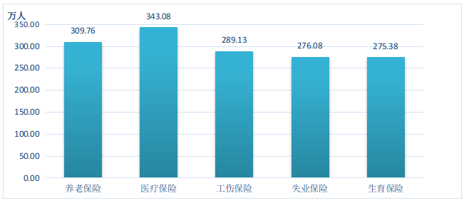 图10  2021年全区参加各类保险人数.png