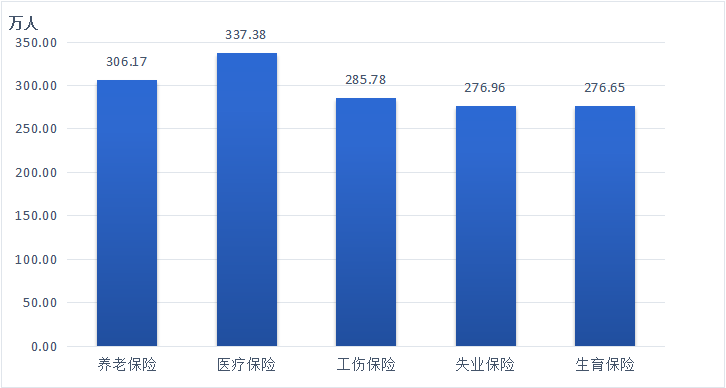 图11  2020年全区参加各类保险人数.png