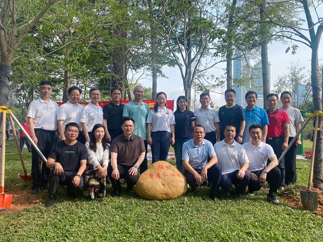 医者仁心 绿化先行1.jpg