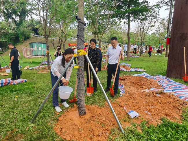 医者仁心 绿化先行2.jpg