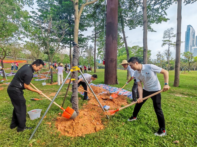 医者仁心 绿化先行3.jpg