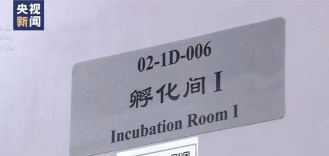 6-孵化间.png