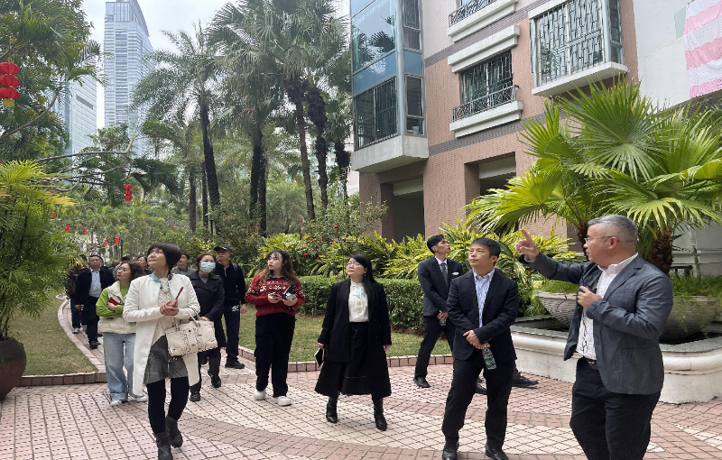 已编辑图片