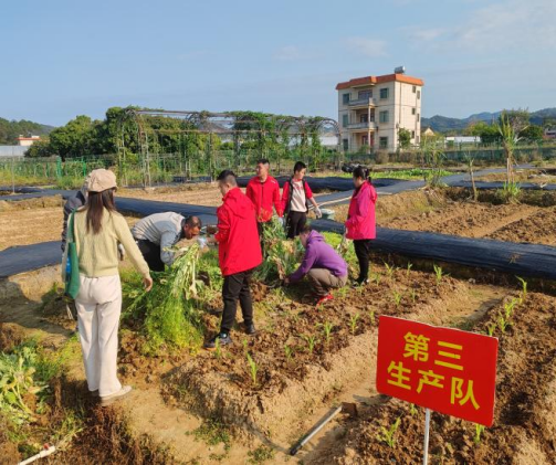 “革新求变，拓路致远”——记快三平台
残联职康训练营的暖心72小时392.png